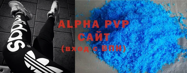 индика Белокуриха