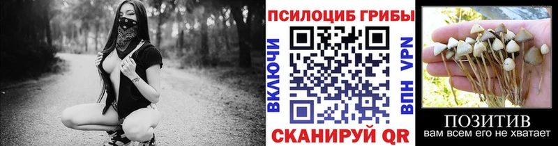 Псилоцибиновые грибы Magic Shrooms  shop клад  Северская 
